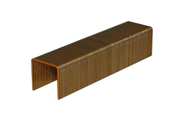 P Series 1" Wide Crown 1/2" Staples - P08 3604PG (10,000)