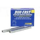 Duo Fast 5018C Staple 5M 20 Gauge 1/2" Crown X 9/16" - StaplermaniaStore