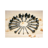 Freud PB-100: 1/4" to 2-1/8" (Dia.) 16 Pcs. Forstner Bit Set