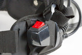 IPC Eagle BP10 10 qt. Backpack Vacuum with Tools