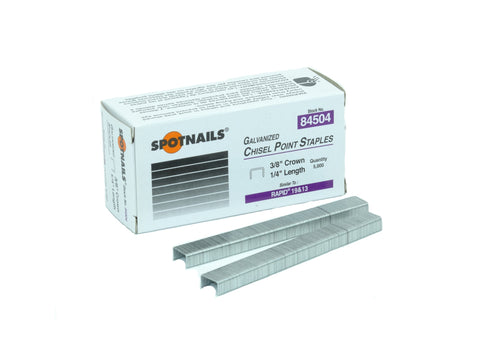 R19 1/4" 84504 1/4" 19-Gauge Medium Crown Galvanized Fine Wire Staples (5000/Pack) - StaplermaniaStore