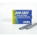 Duo Fast 7512D Staple 3/8" Leg 5M - StaplermaniaStore